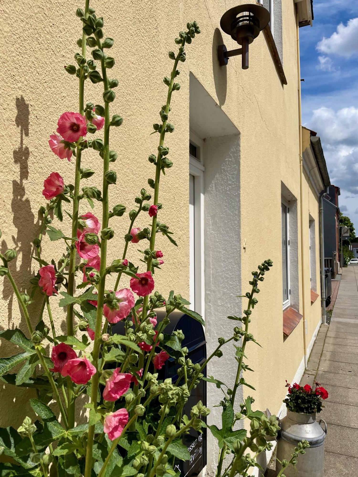 Silkeby Bed & Breakfast Bed & Breakfast Silkeborg Exterior photo